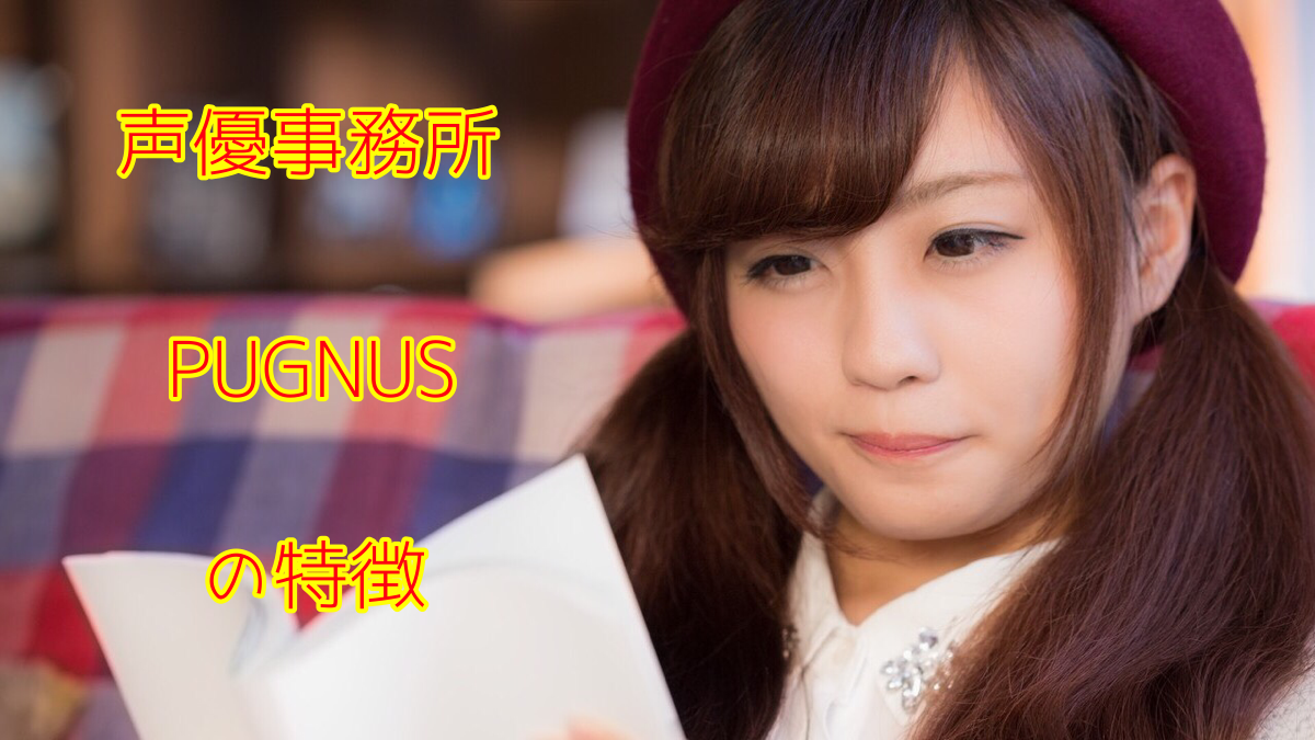 Pugnus 評判